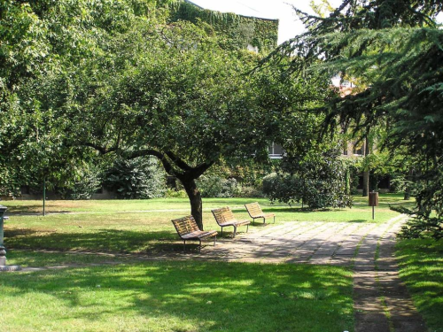 immagine_2025-04-24_102349279